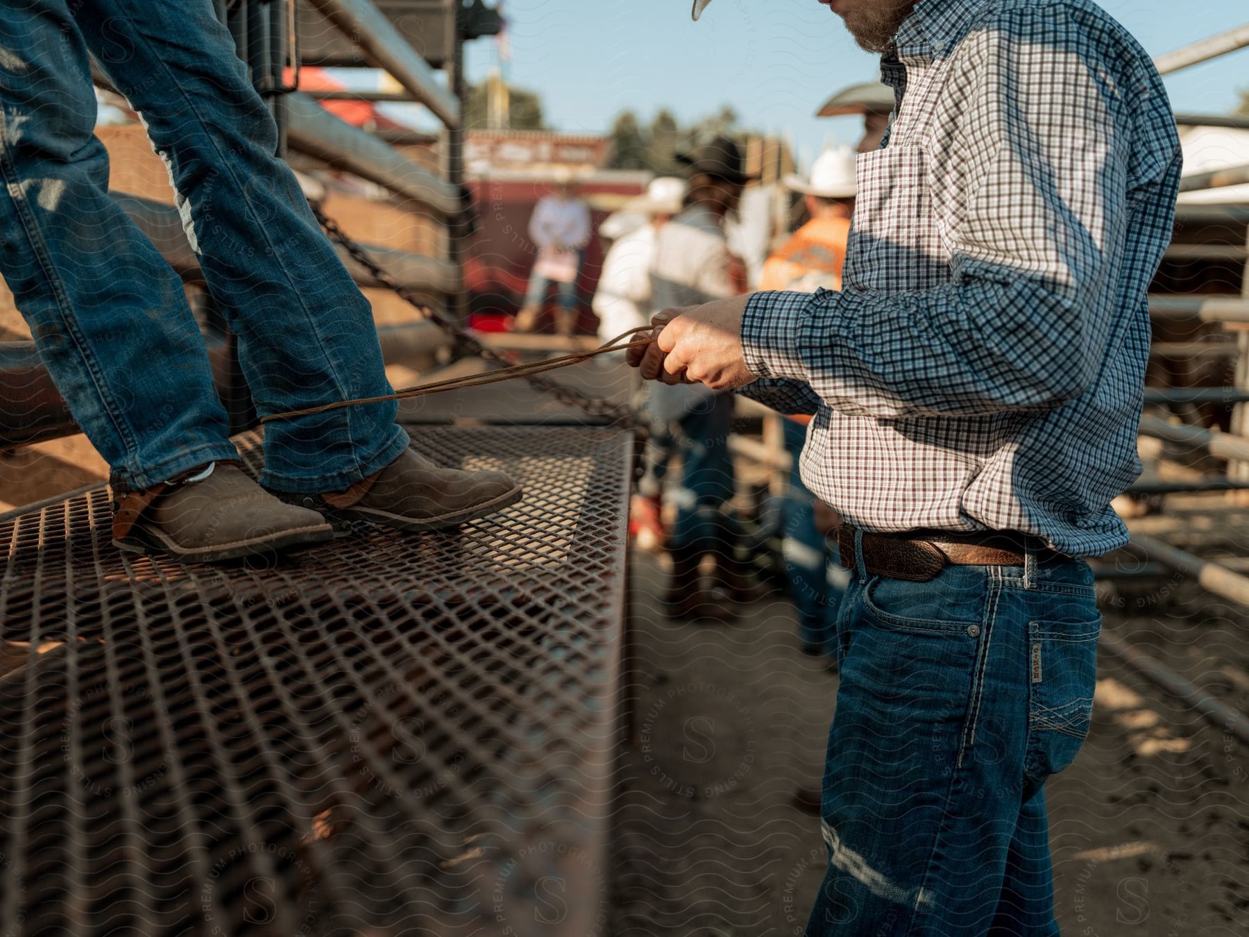 Farmers working in a corral