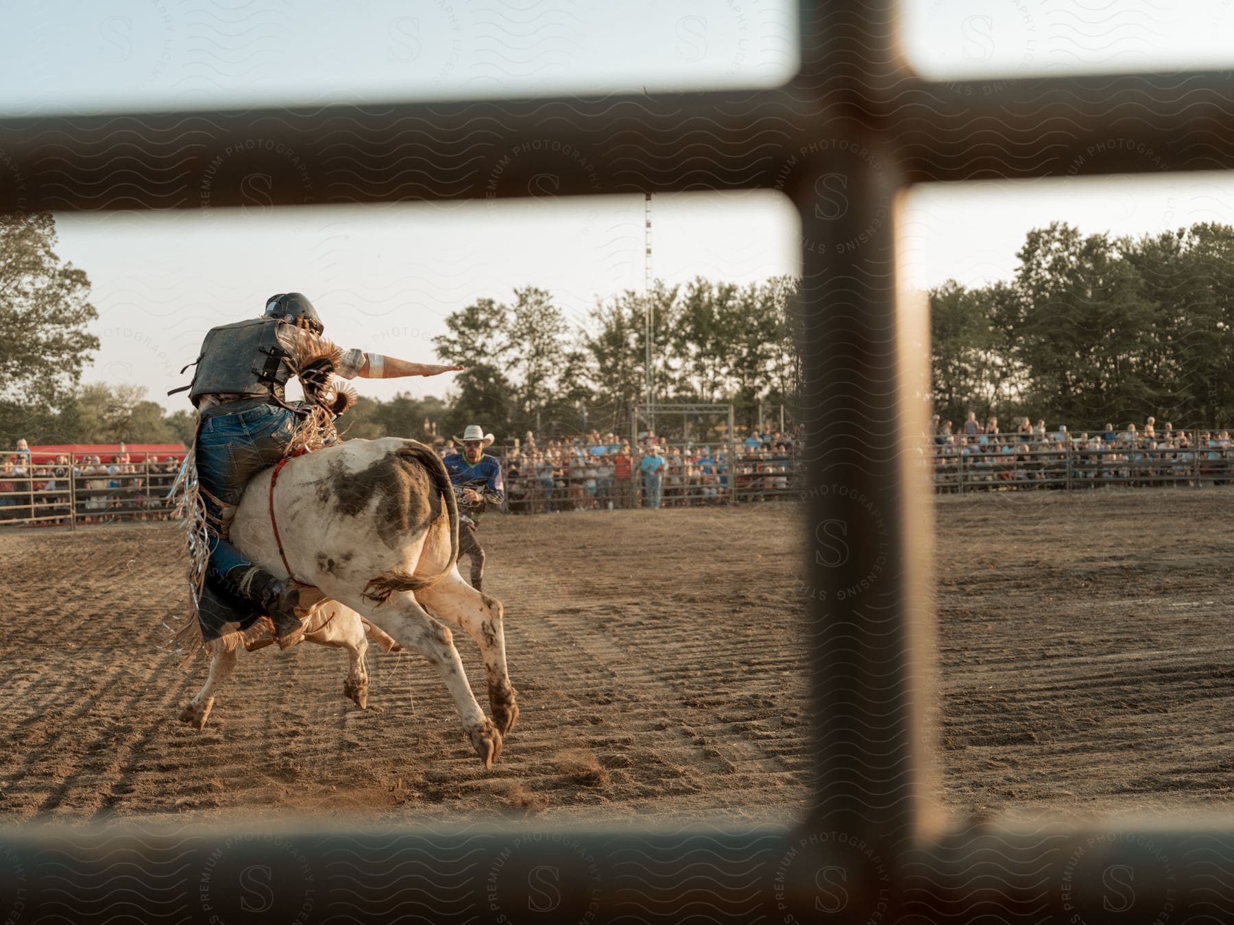 Cowboy rides a wild bull at a rodeo in the morning