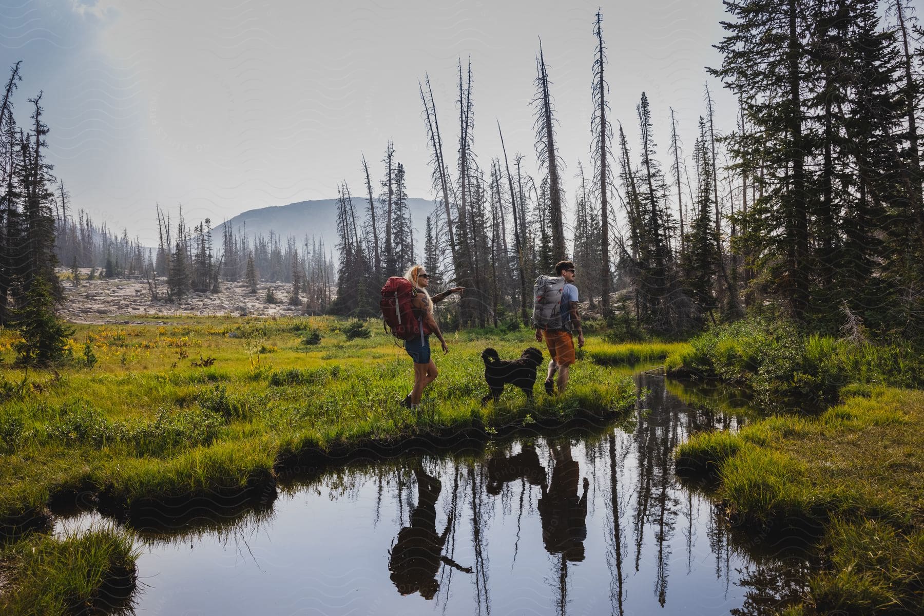 A man and a woman hike with their dog near a creek flowing by a mountain