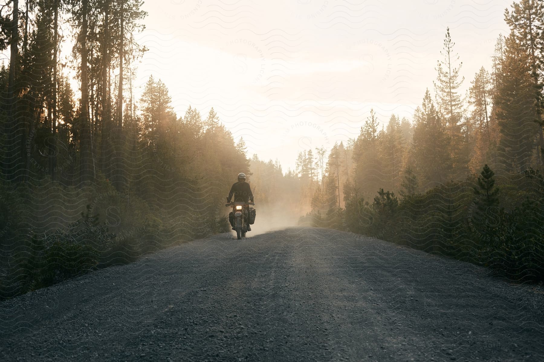 A person riding a motorcycle on a road surrounded by trees and the sky