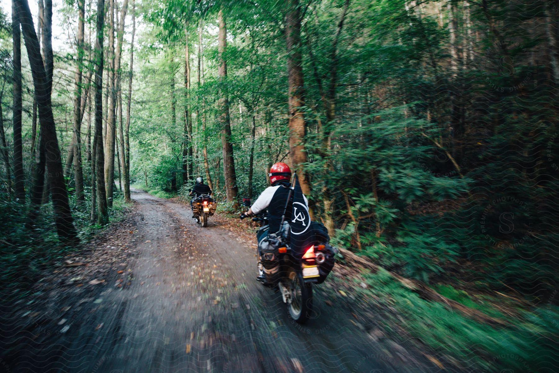 Two people on motorcycles drive through a forest on a road trip