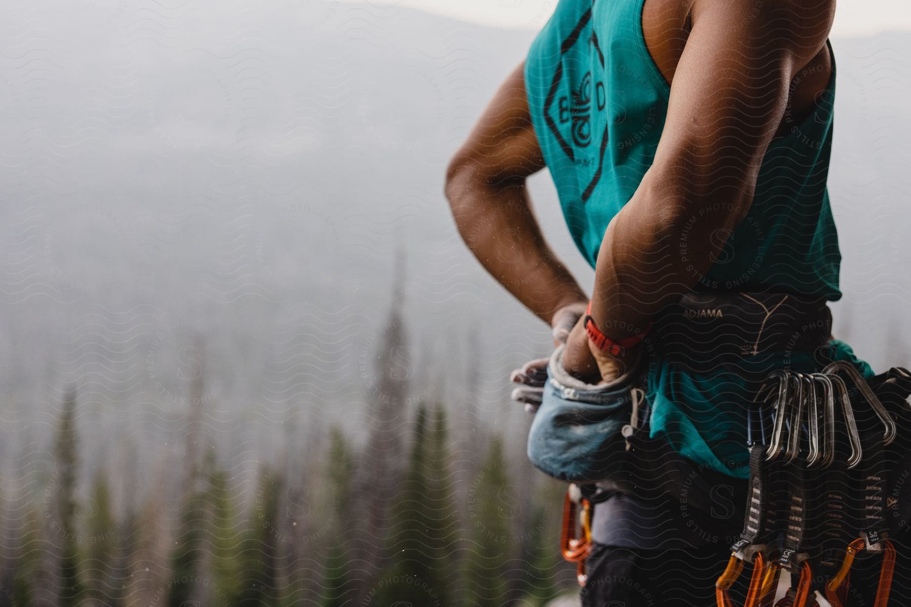 A person with climbing equipment stands in front of a forest