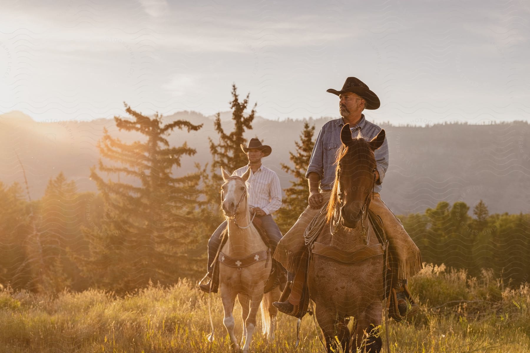 Stock photo of two cowboys ride horses through a grassy field at sunrise with a mountain range trees and a clear sky in the background