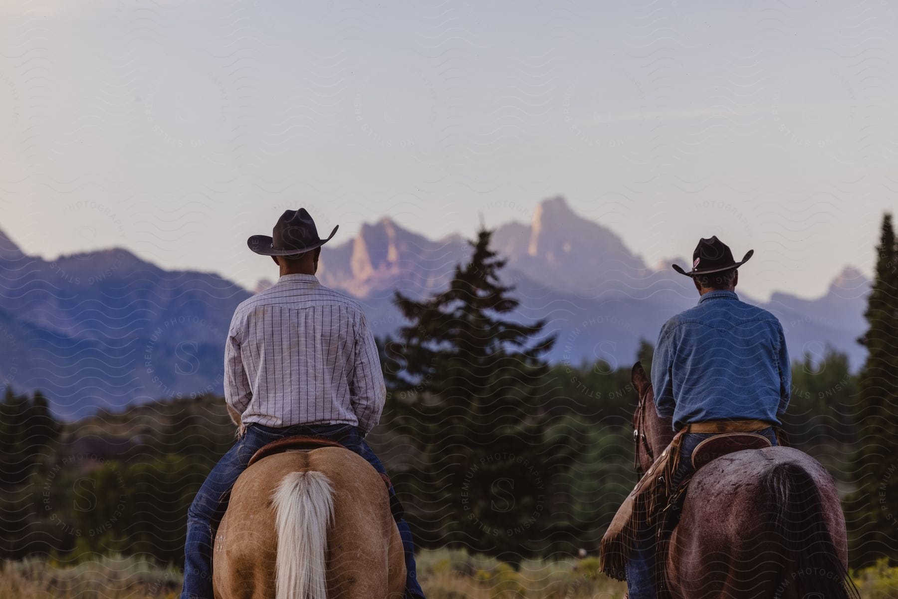 Two men horseback riding in the mountains