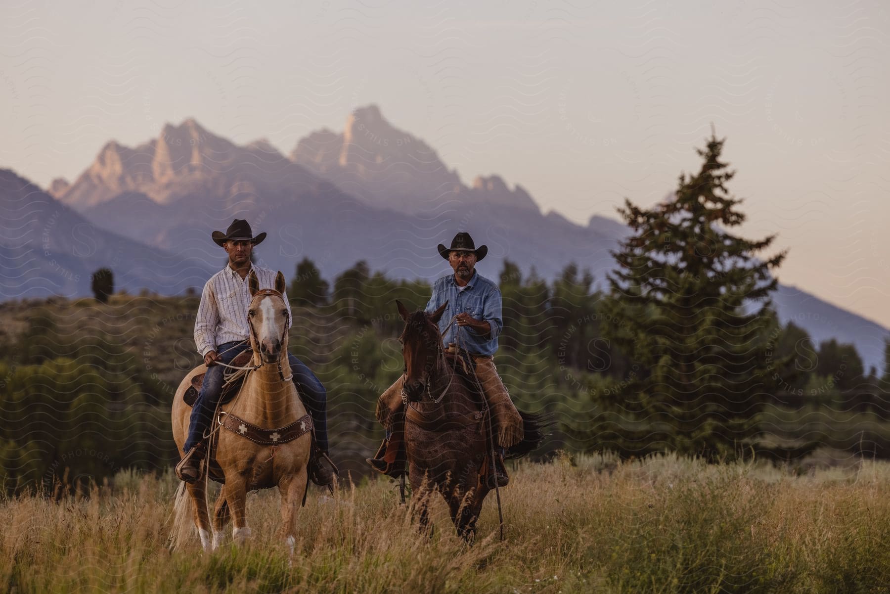 Two men riding horses in a field of tall grass with trees and mountains in the background