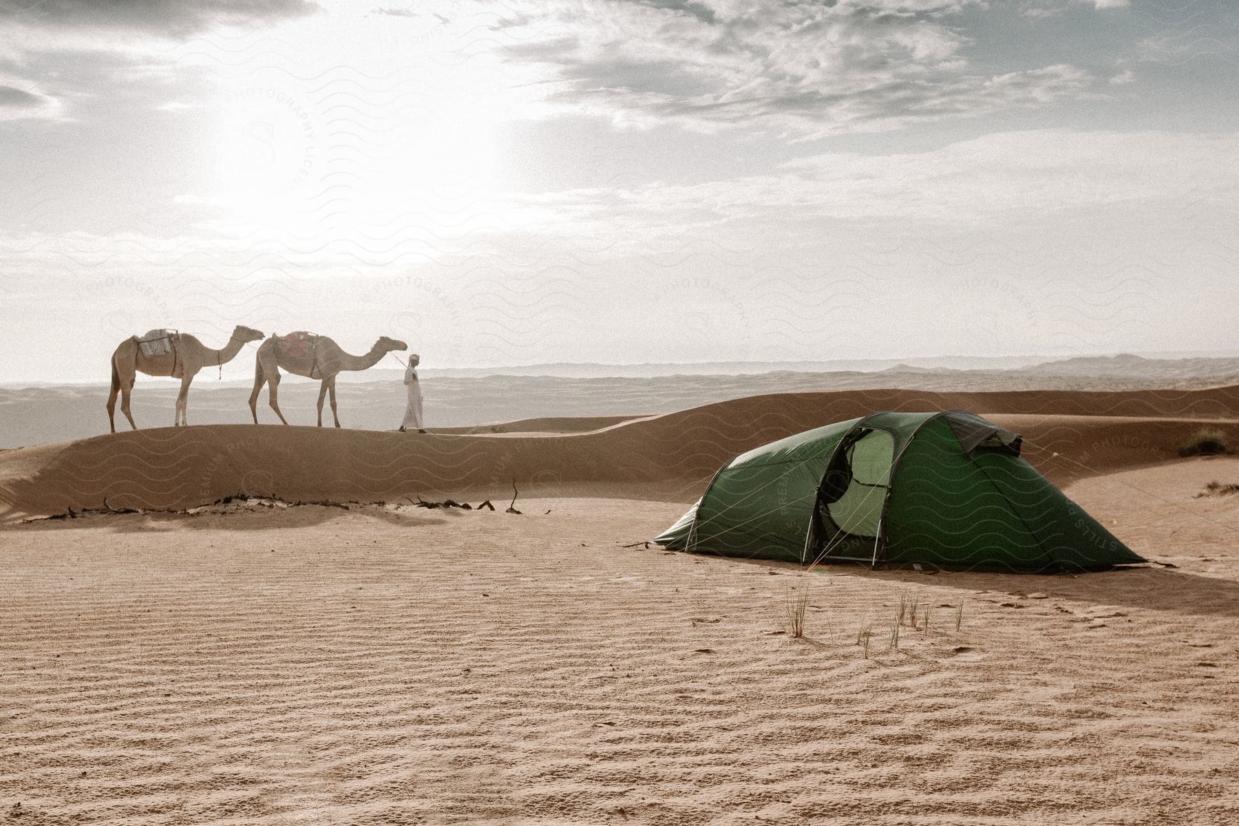 A man with two camels stands in a deserted landscape near a green tent