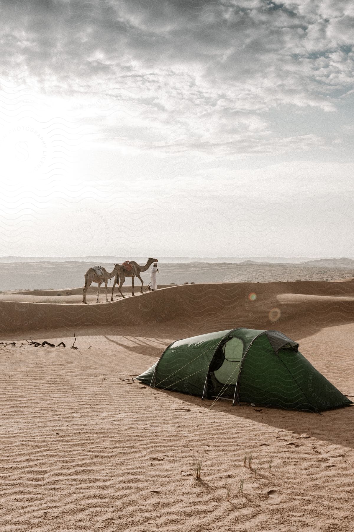 A man guides two camels over a sand dune past a green tent on a cloudy day in the desert