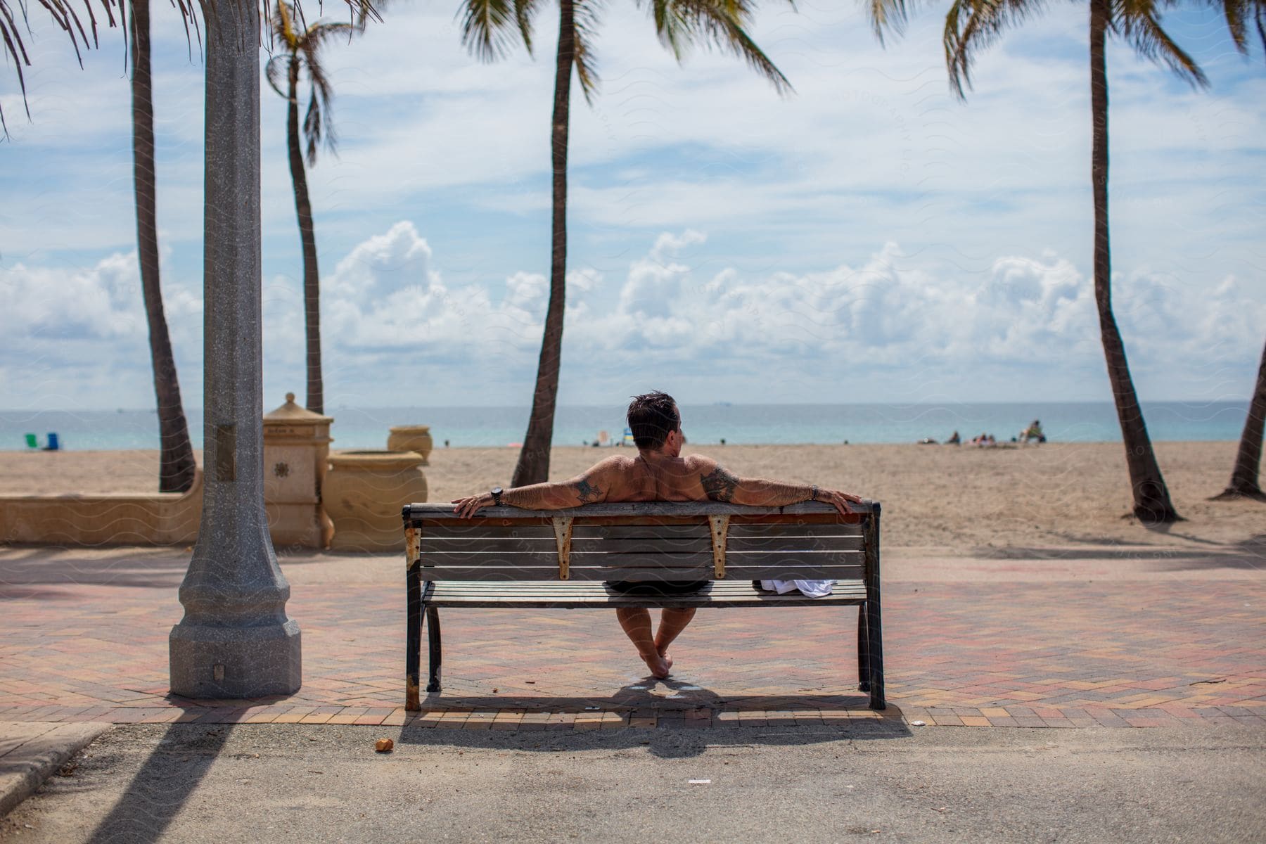 A man sitting on a bench near palm trees by the beach