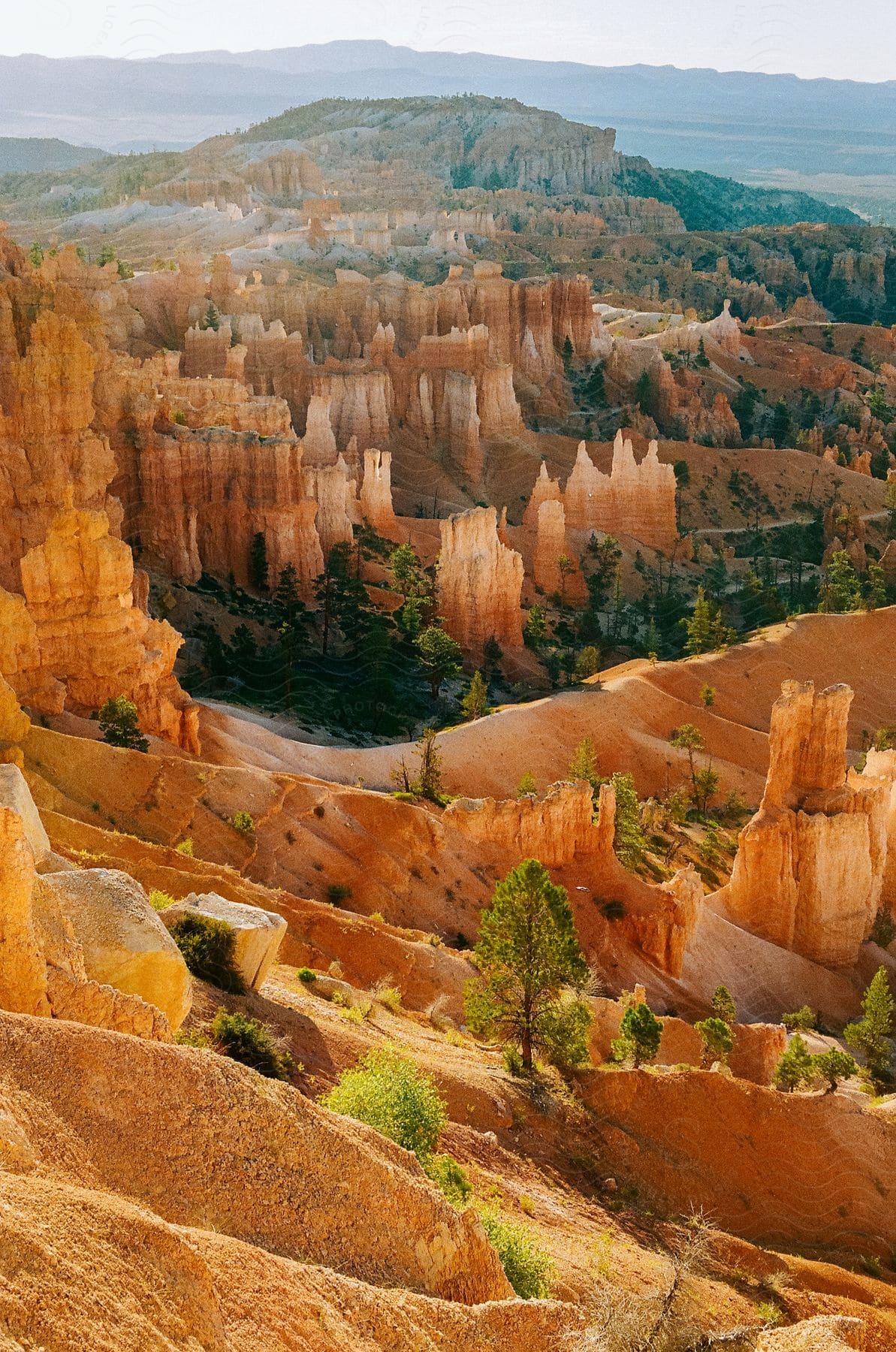 Sand covered cliffs mountains and ridges sparsely dotted with trees and vegetation