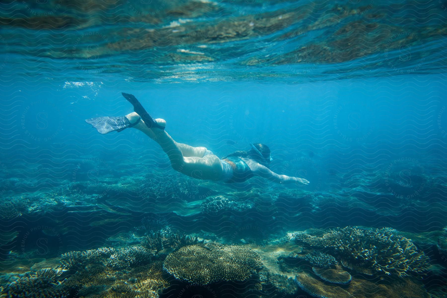 A woman swimming in the ocean water