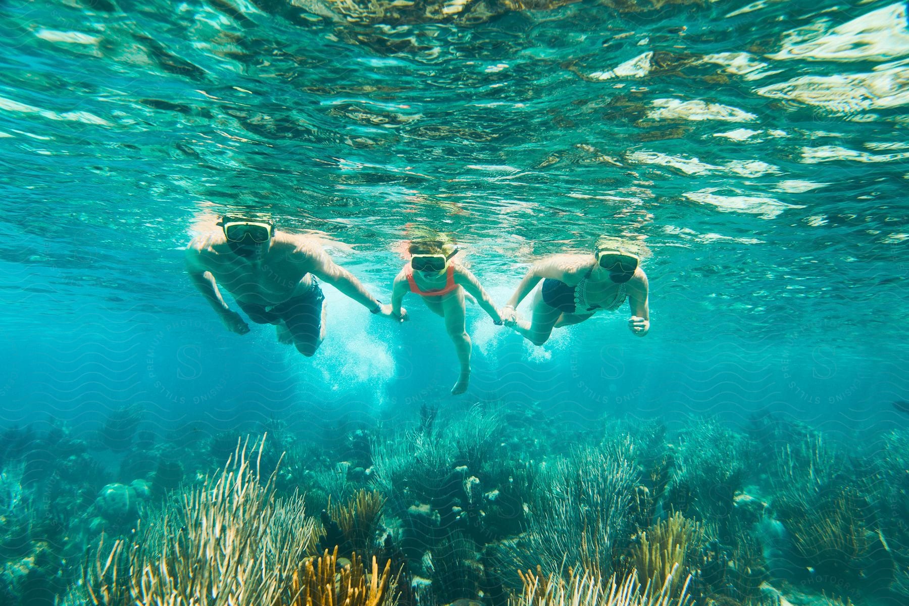 Stock photo of a family of three swimming underwater in a body of water