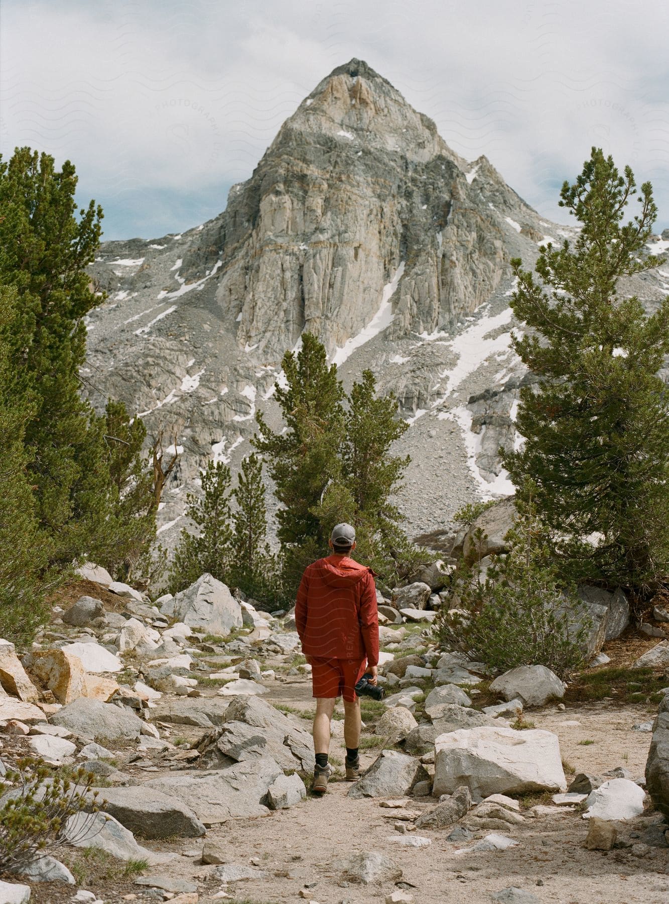 A man walks through sparse trees over rocky terrain towards a mountain in california