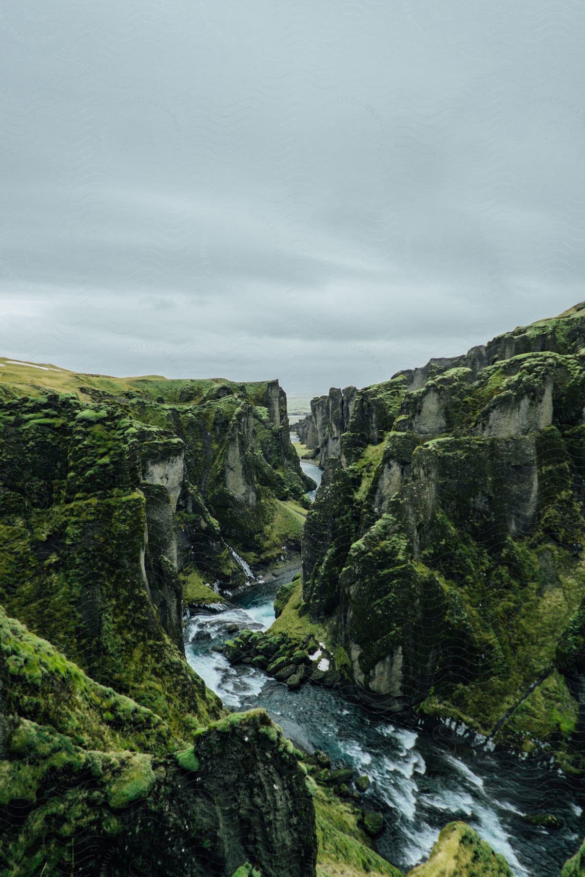 A serene view of a lush green rainforest with a waterfall and stream