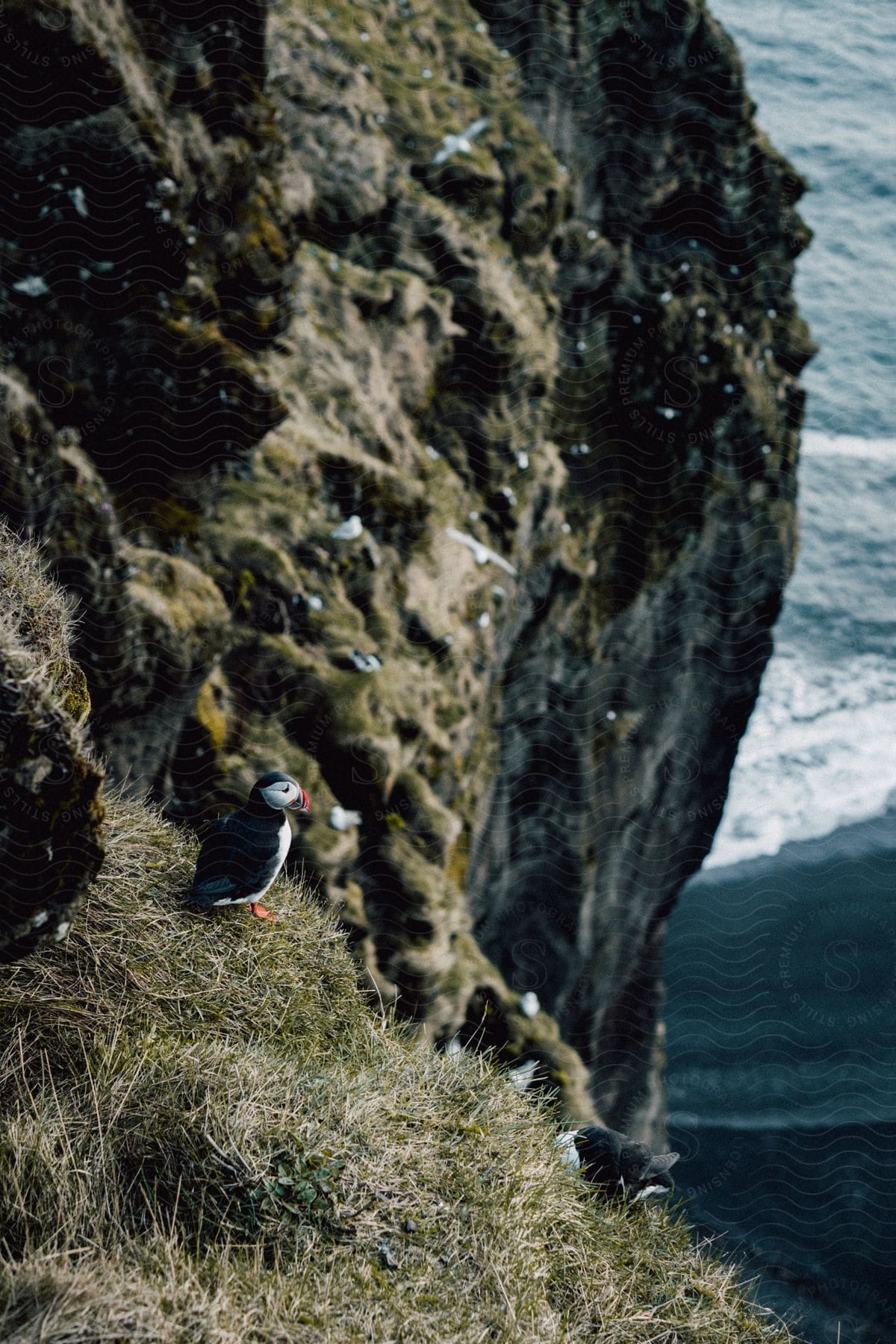 A mountain near the shoreline is seen up close