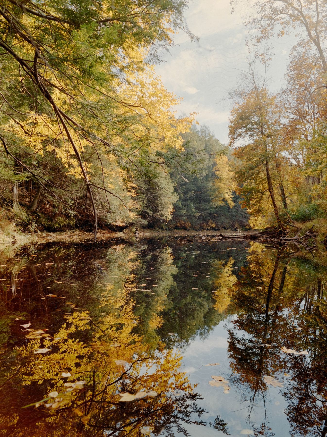 A river surrounded by fallcolored trees reflects on its surface