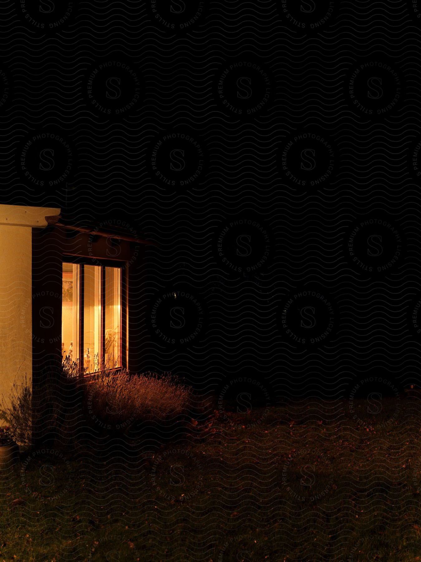 A house with a large picture window at night surrounded by small red leaves in the yard