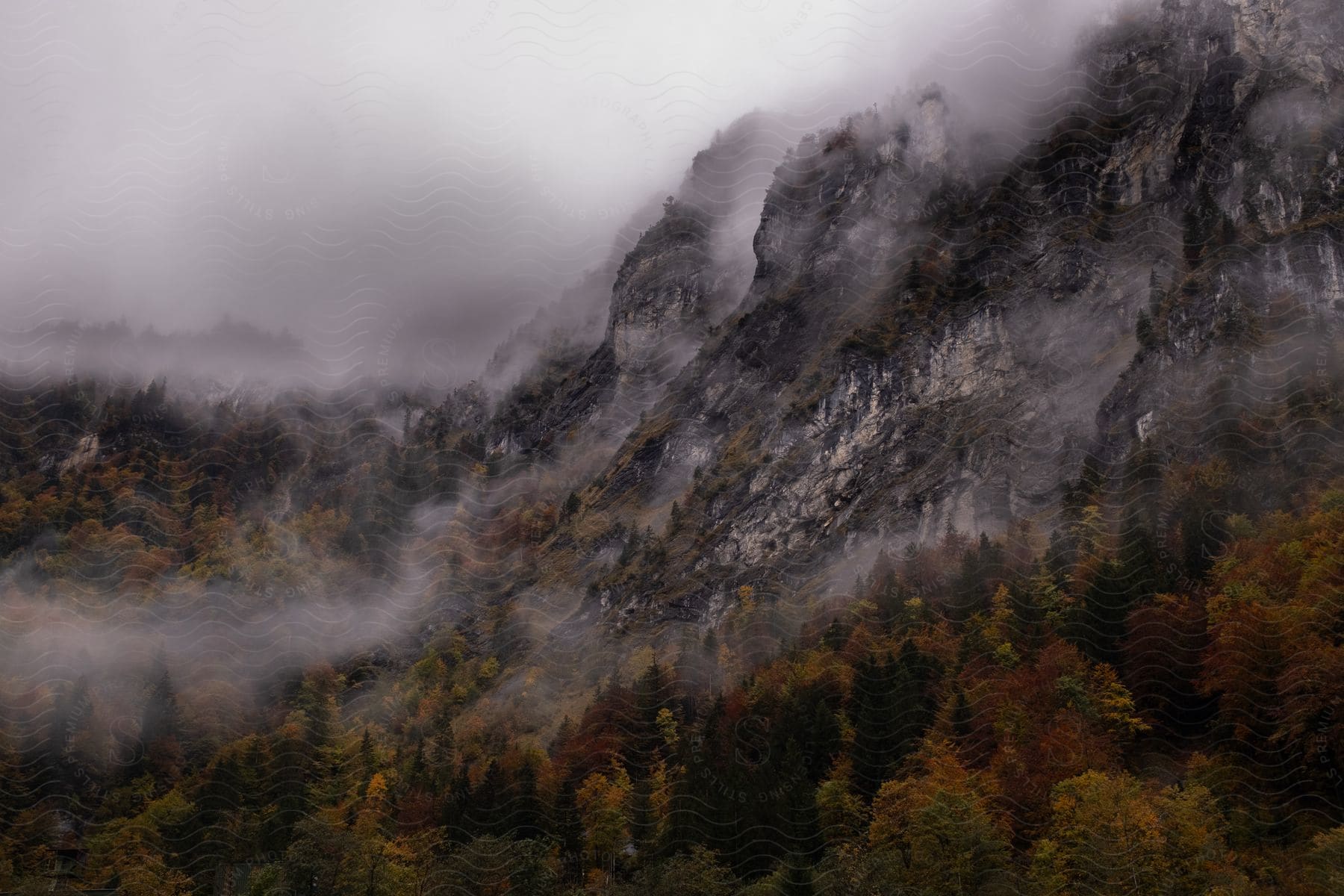 A misty mountain landscape with trees and fog