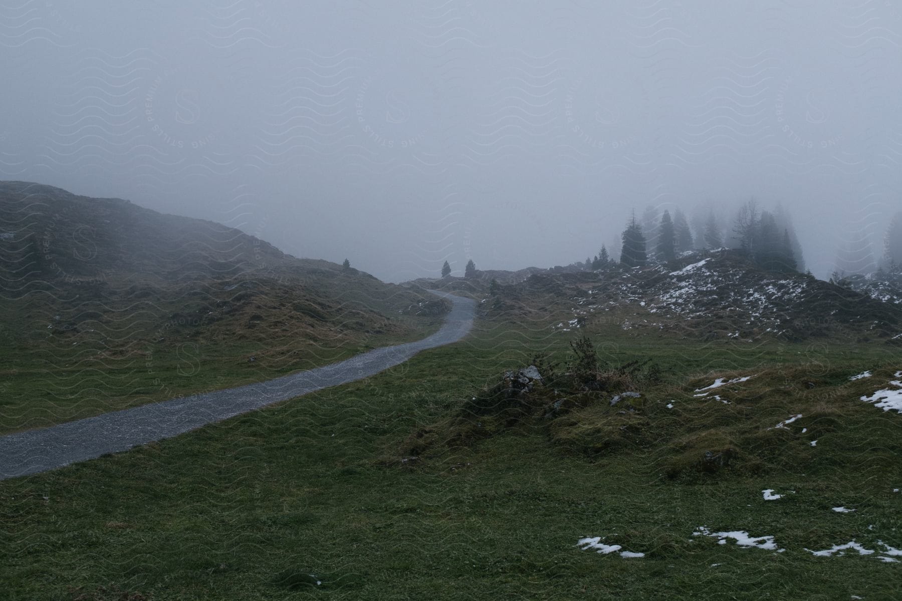 A road runs through grasslands by a forest