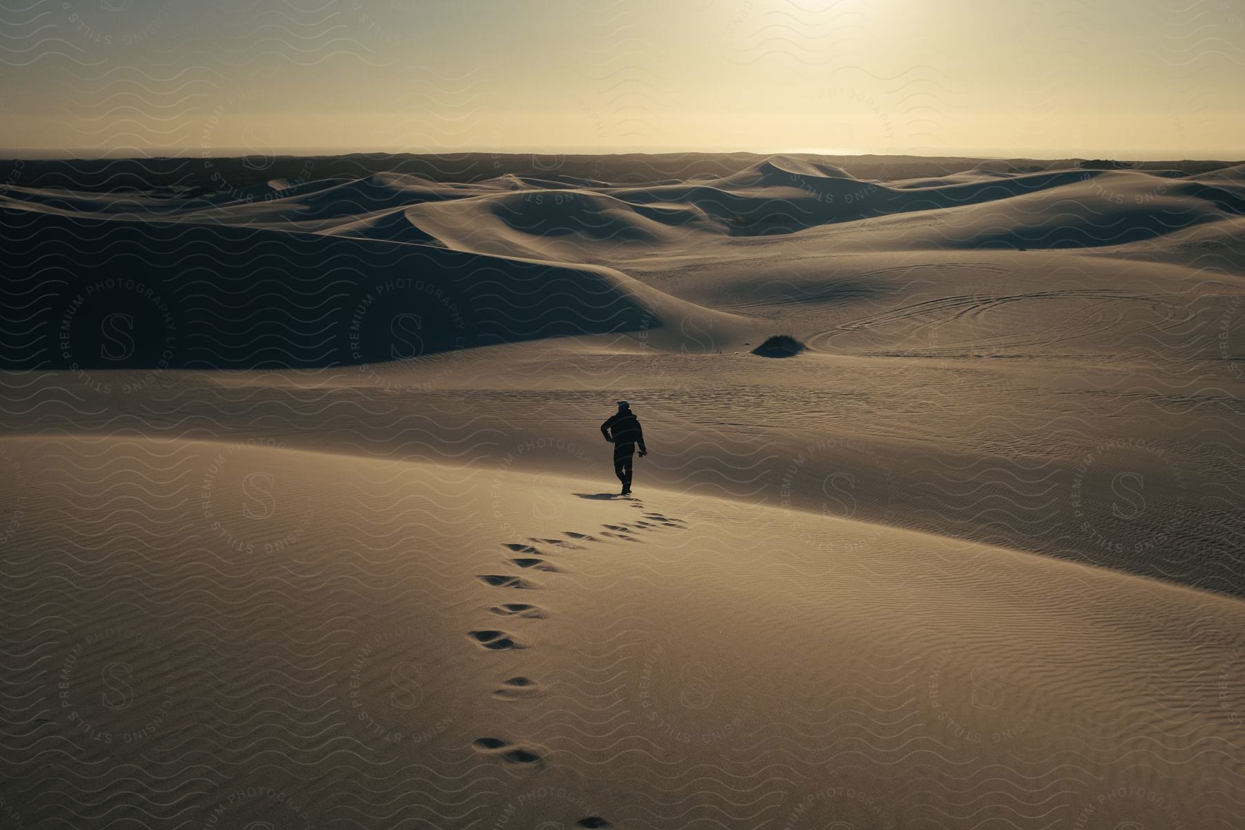 A person walking through the desert landscape at dusk or dawn