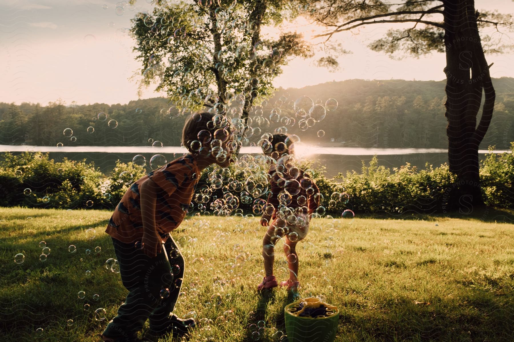 Children playing in a field of bubbles as the sun sets over the forest