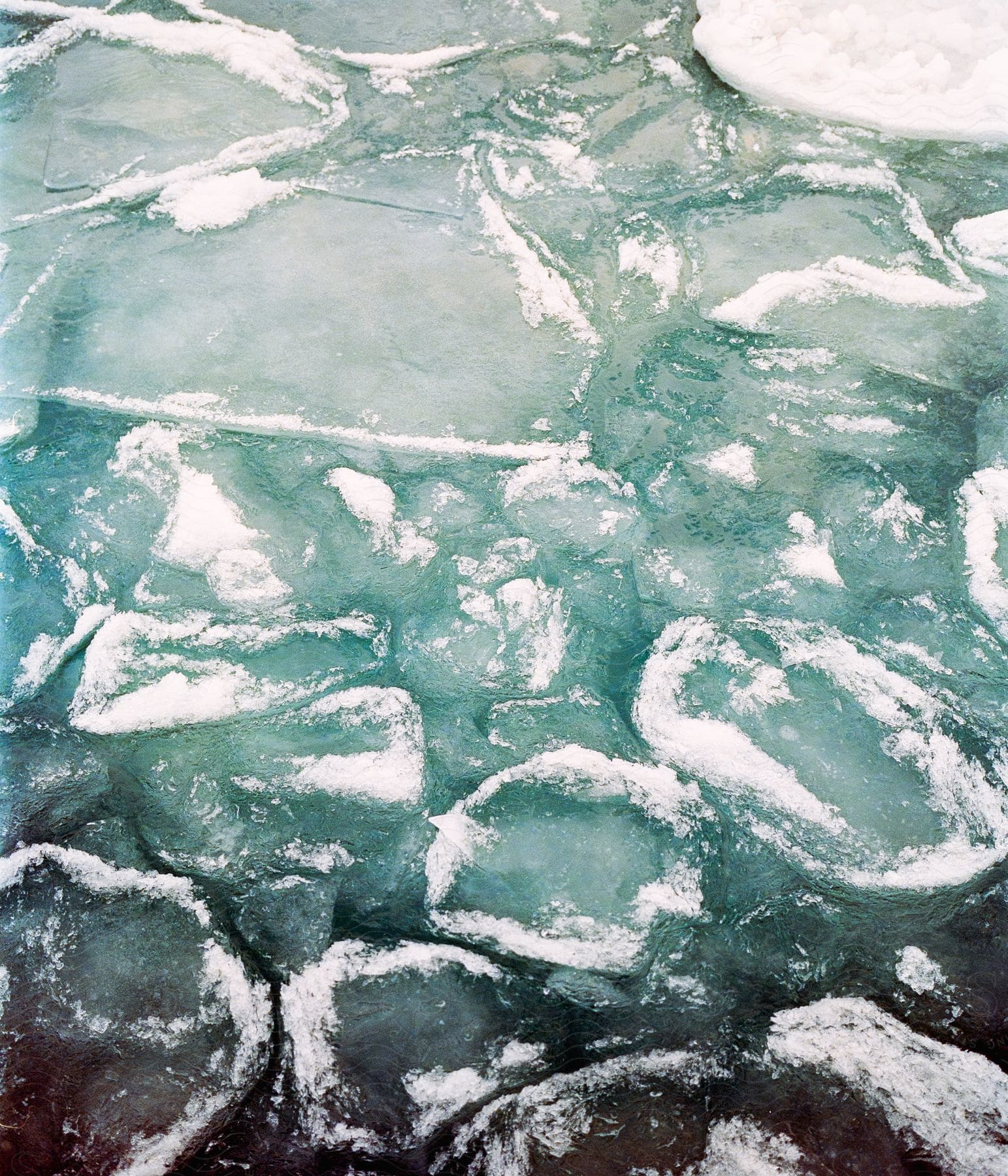 Ice floating in the ocean