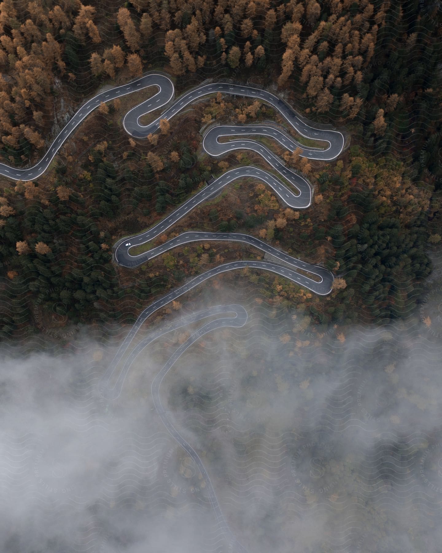 An automobile drives on a winding forest road with fallcolored leaves and clouds moving over the woods