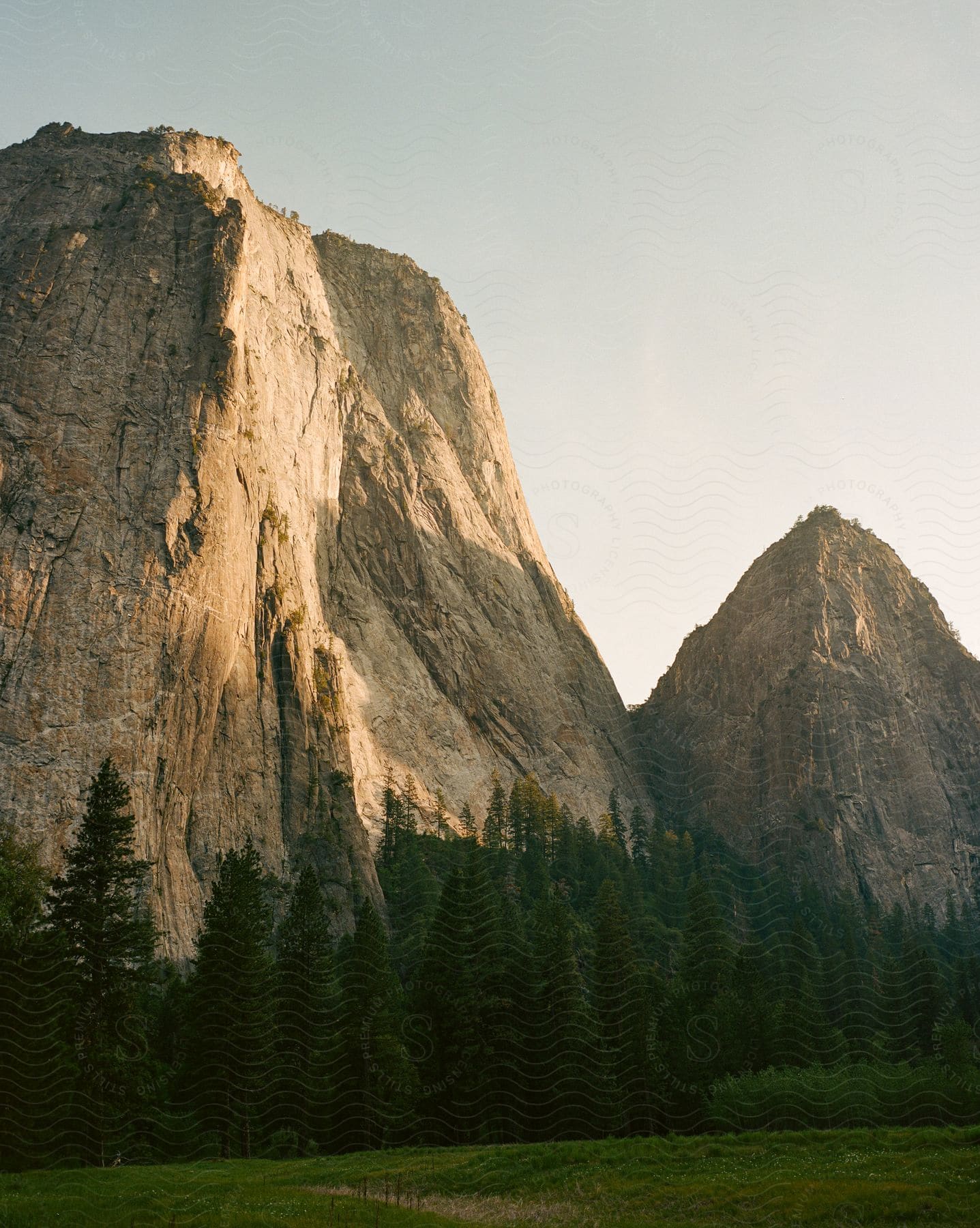 A field with trees and mountains in the background