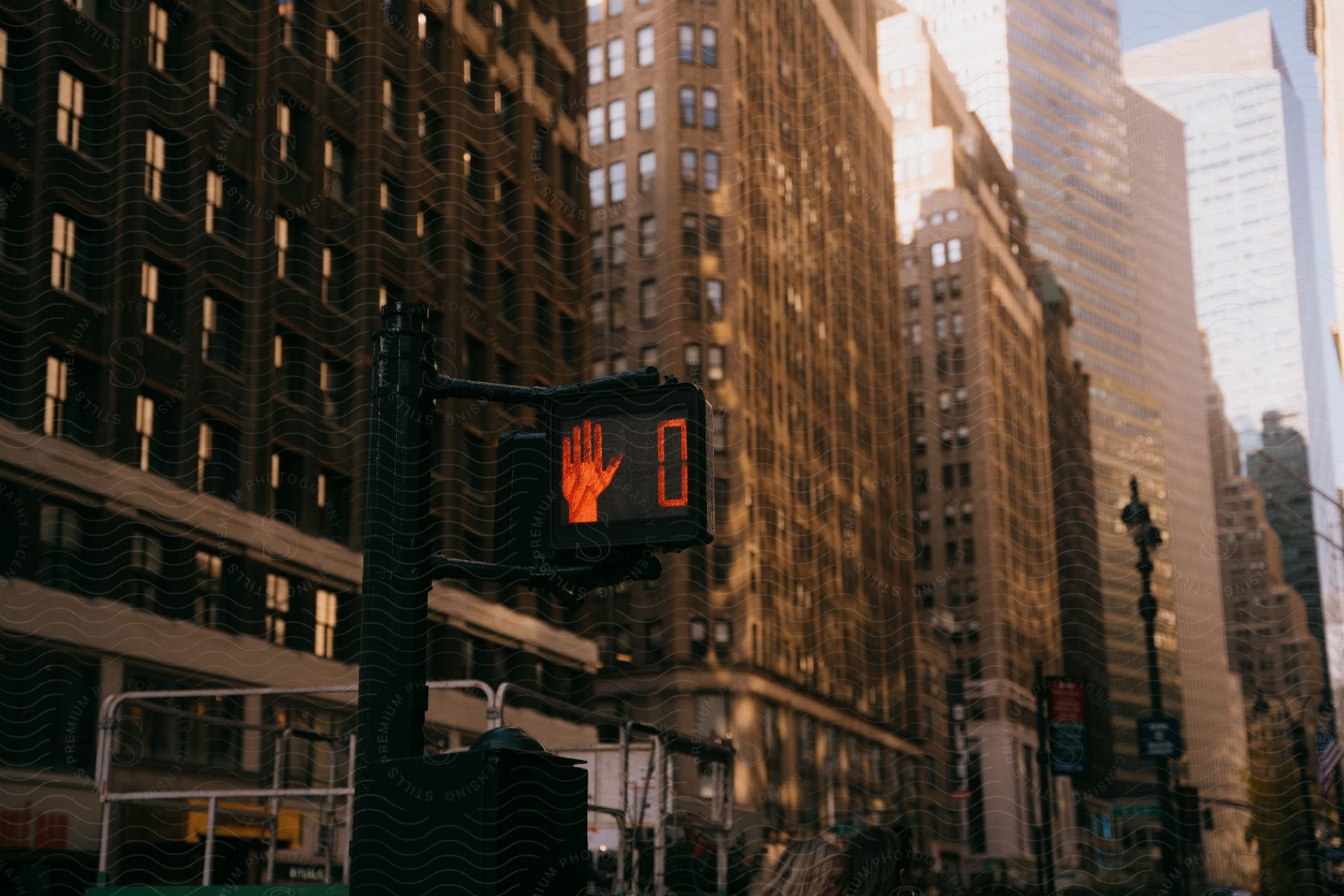 A crosswalk signal is visible in front of downtown skyscrapers