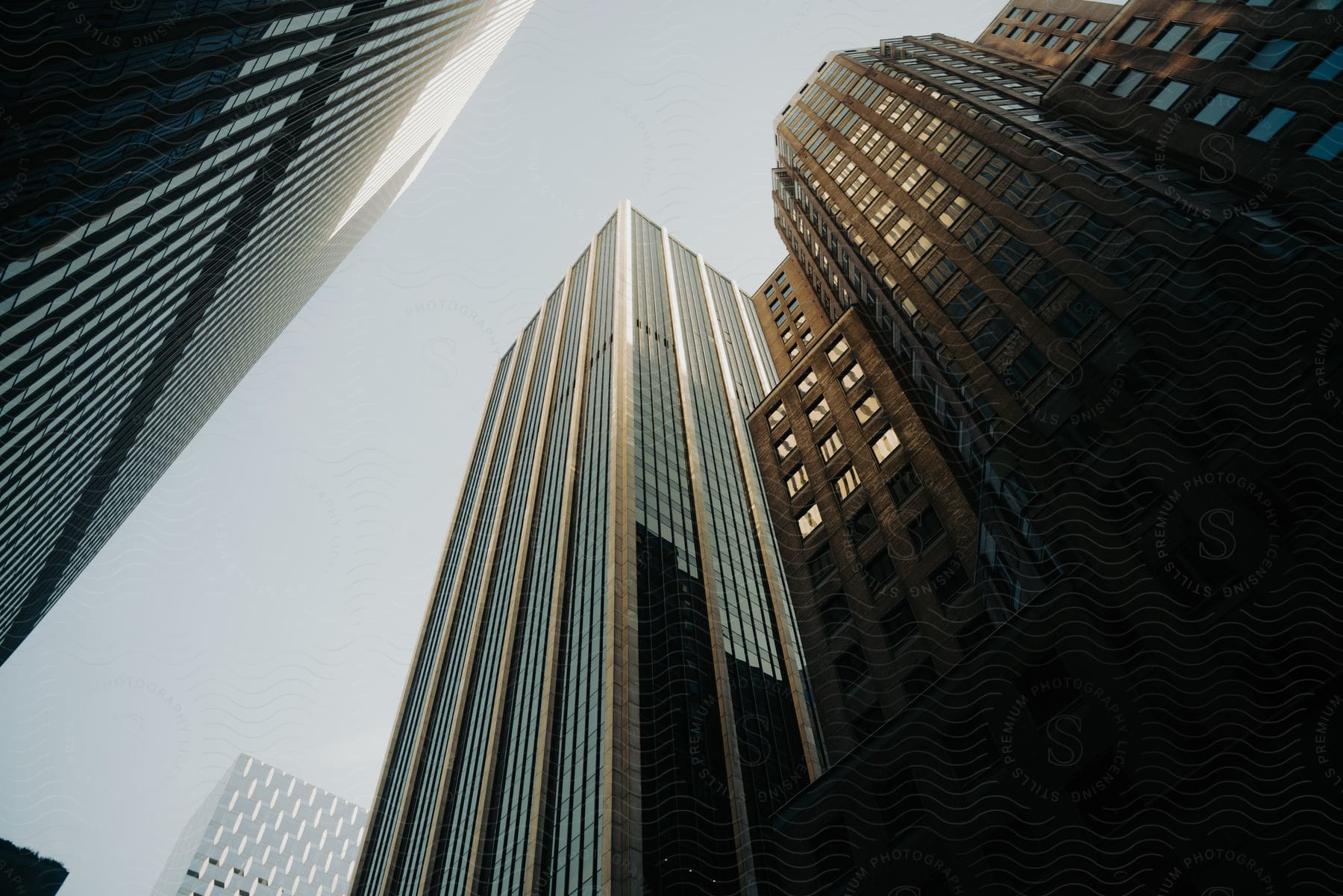 Tall skyscrapers in a downtown city