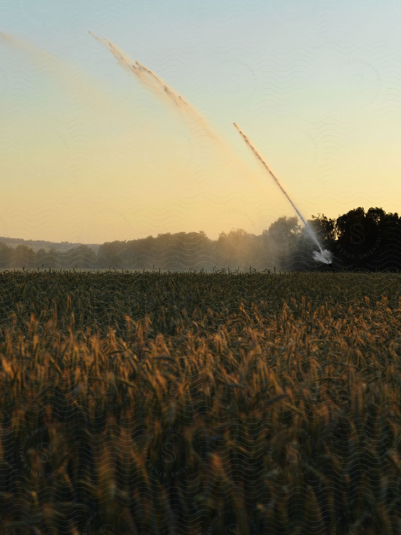 A grass field being watered by a sprinkler system in skåne sweden during the summer