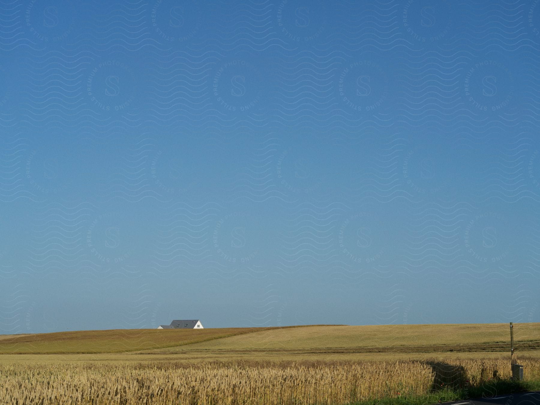 Fields used for agriculture and a small house in the distance with clear blue sky