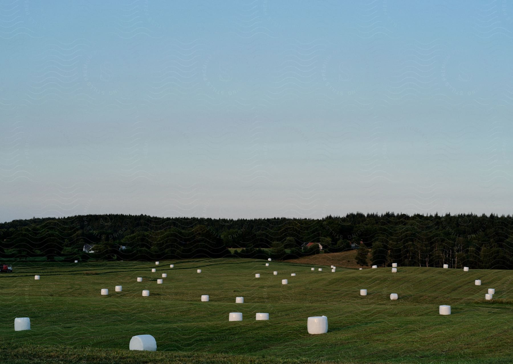 Several large white marshmallow shaped objects scattered across a grassy field in skåne sweden during the summer