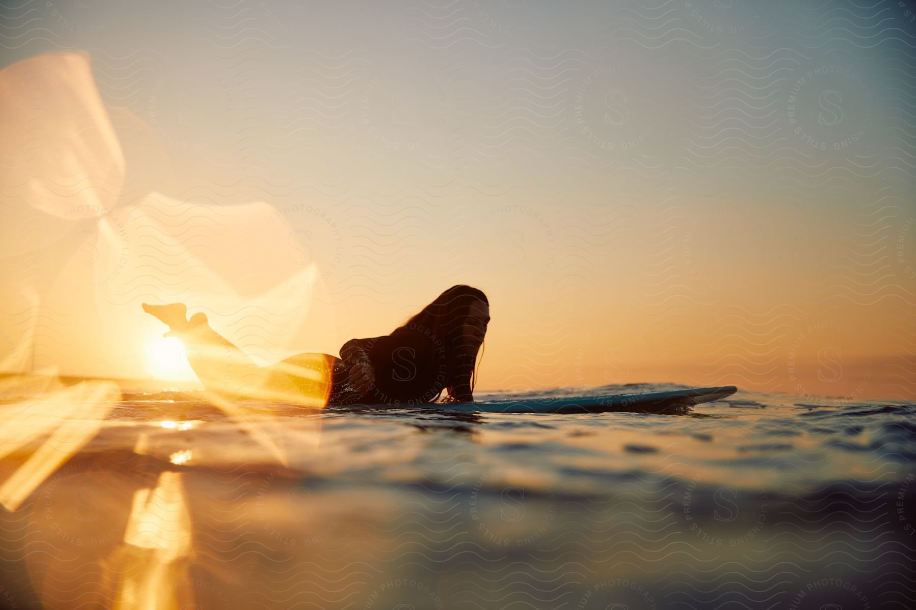 Woman paddling on a surfboard against the sunlight in the ocean