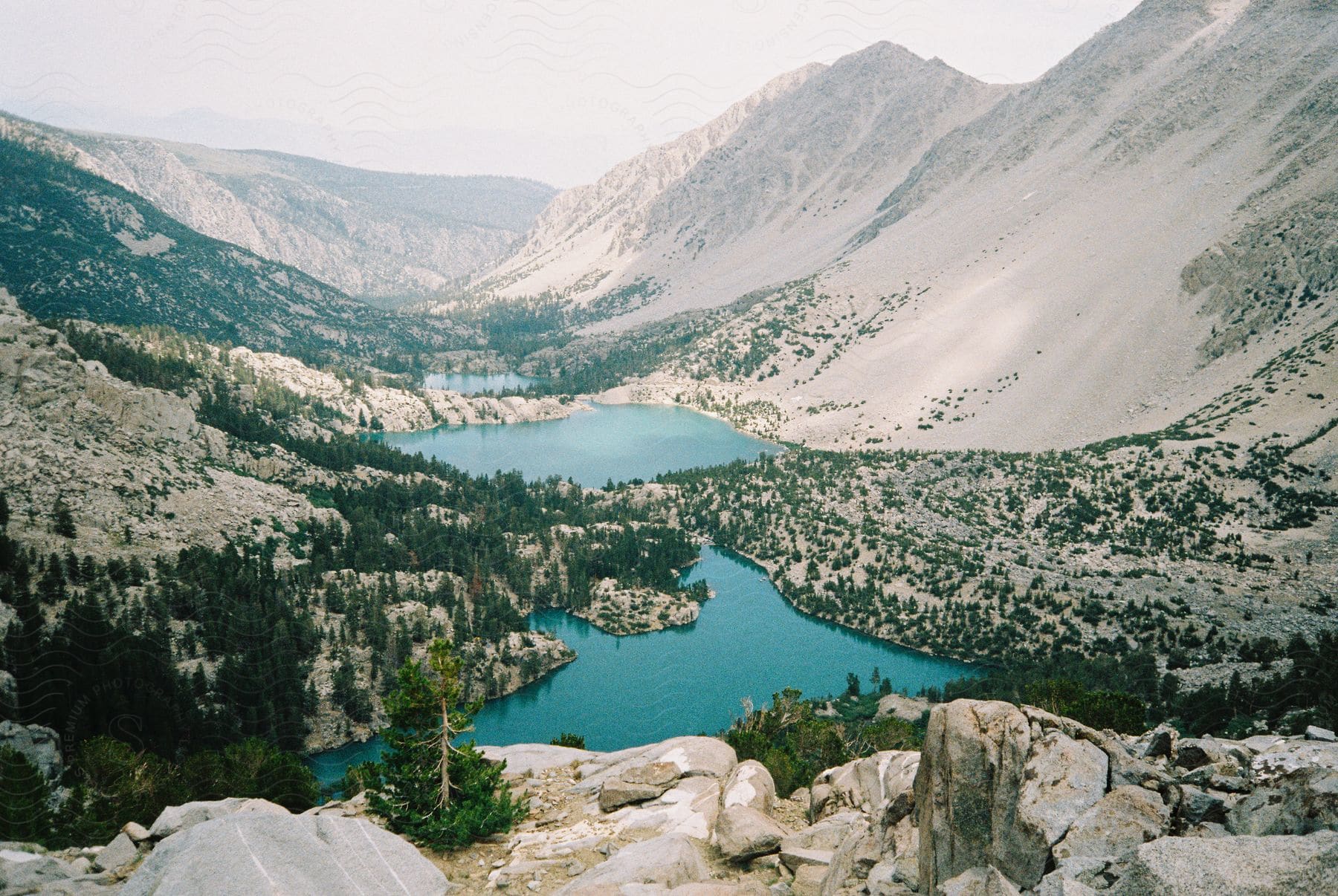 Aerial view of pine trees surrounding small bodies of water in a valley between large mountains in california