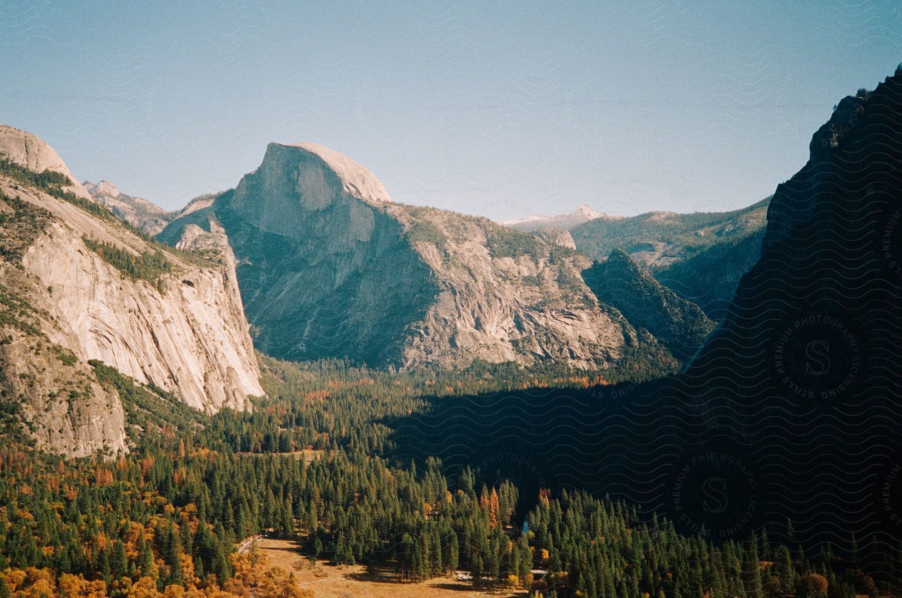 Wide daytime landscape with coniferous forest valley and mountains in a warm color palette