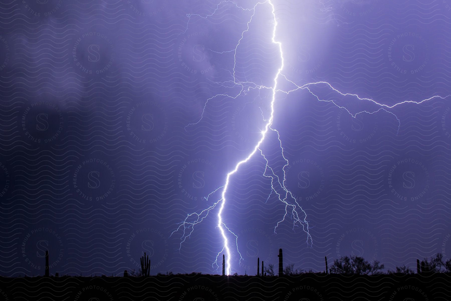 A bright lightning bolt strikes the desert ground illuminating the night sky