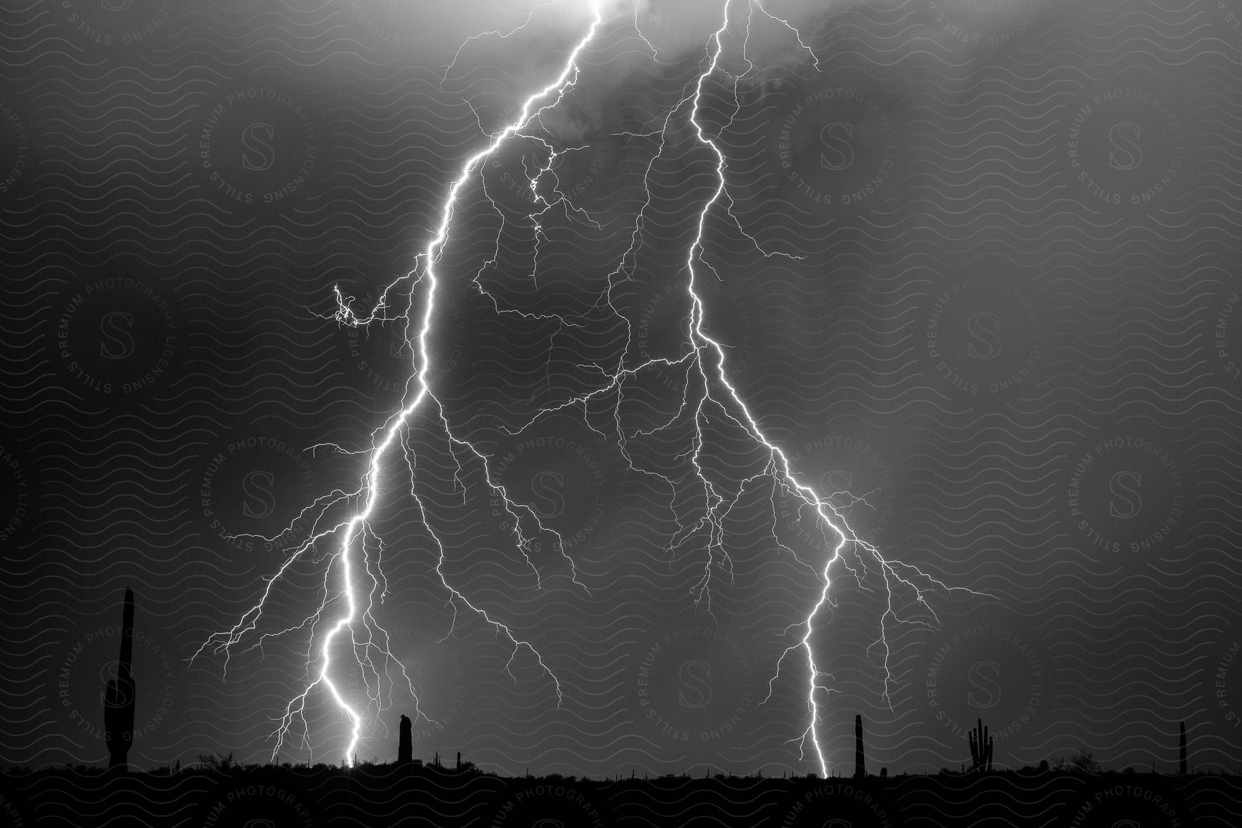 Lightning bolts illuminate the desert sky at night striking the ground