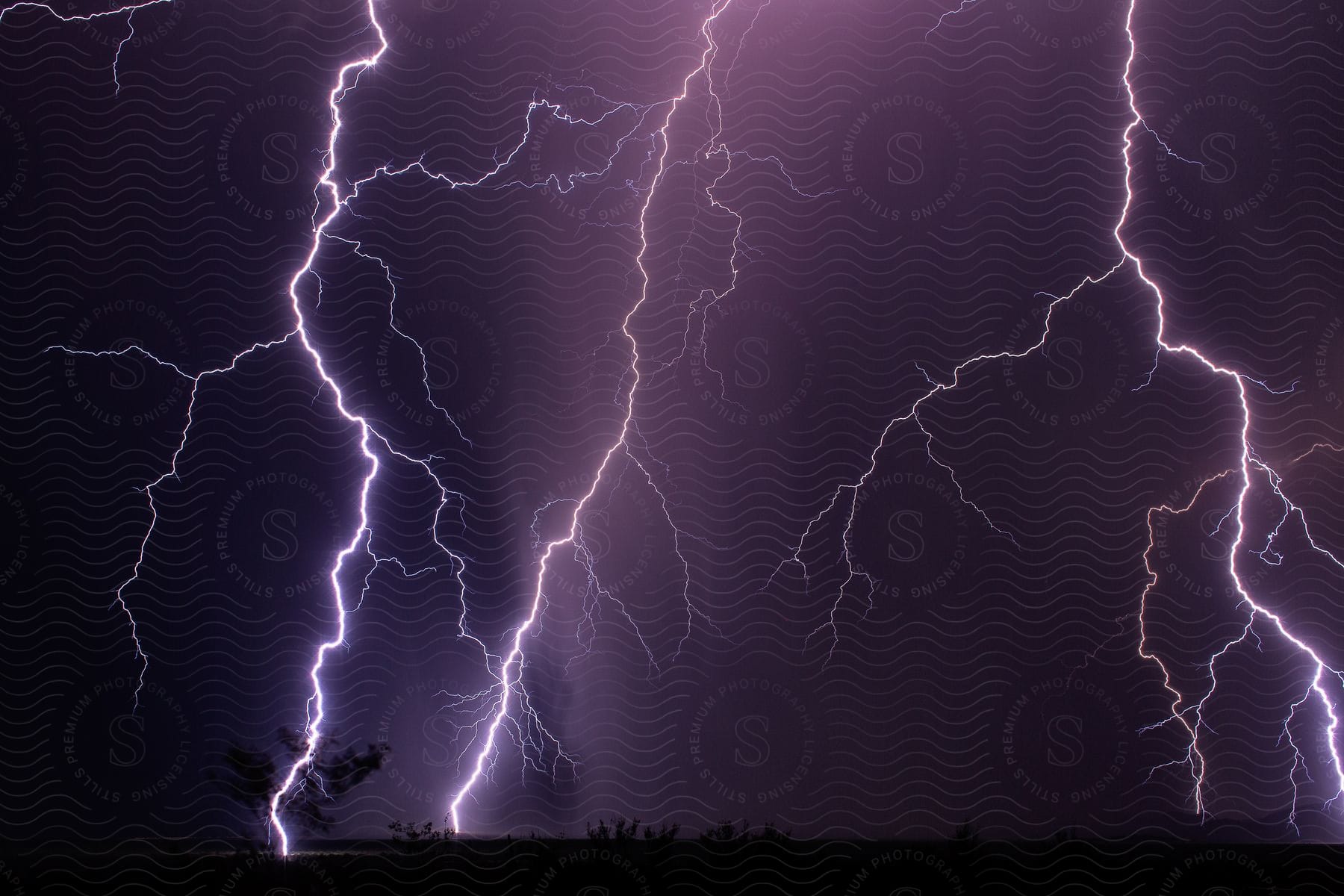 Purple lightning strikes a tree on a dark night during a thunderstorm in three points arizona