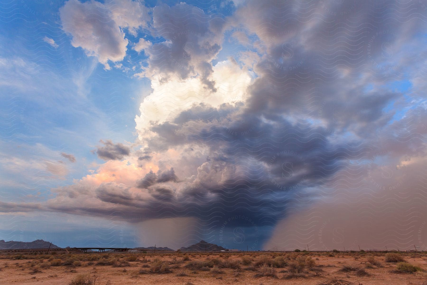 A storm hits a mountain with swaying brown grass in the wind