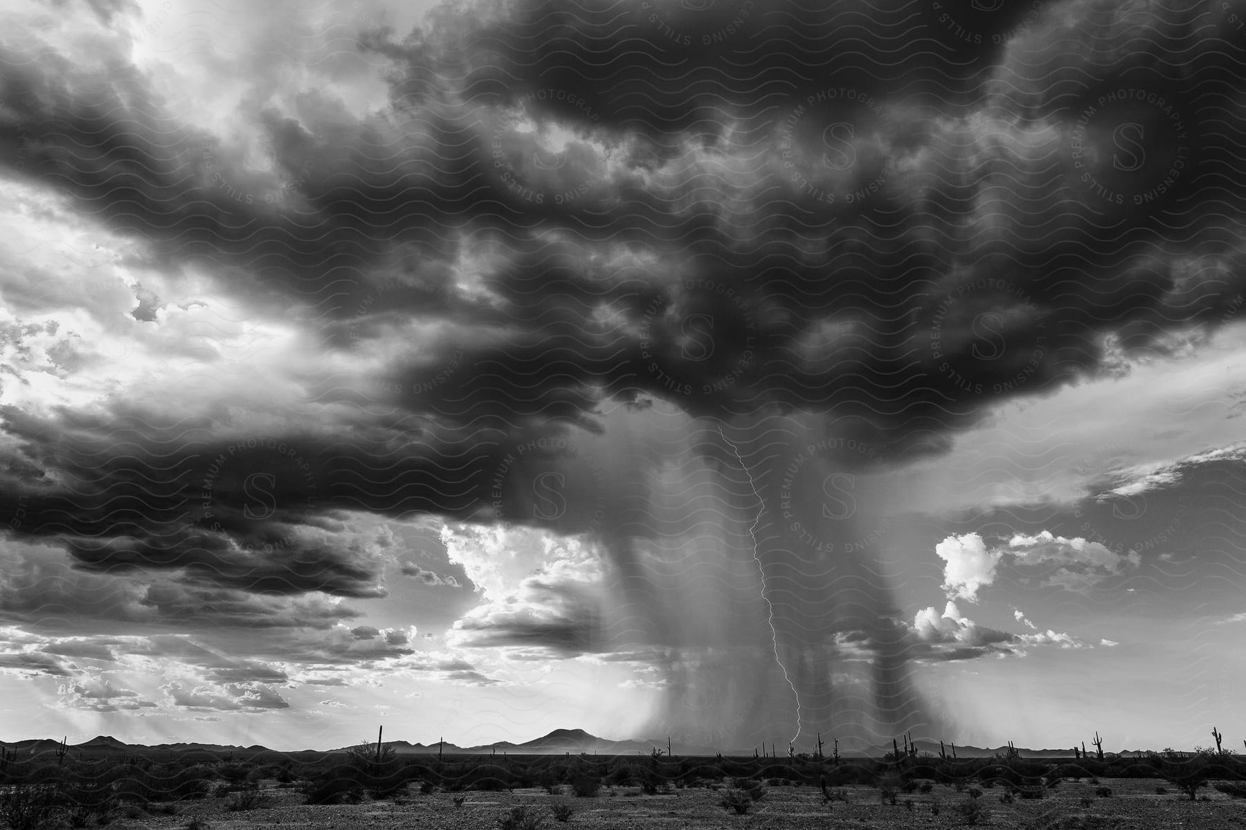 A dark storm cloud pours rain over the desert as lightning strikes the ground