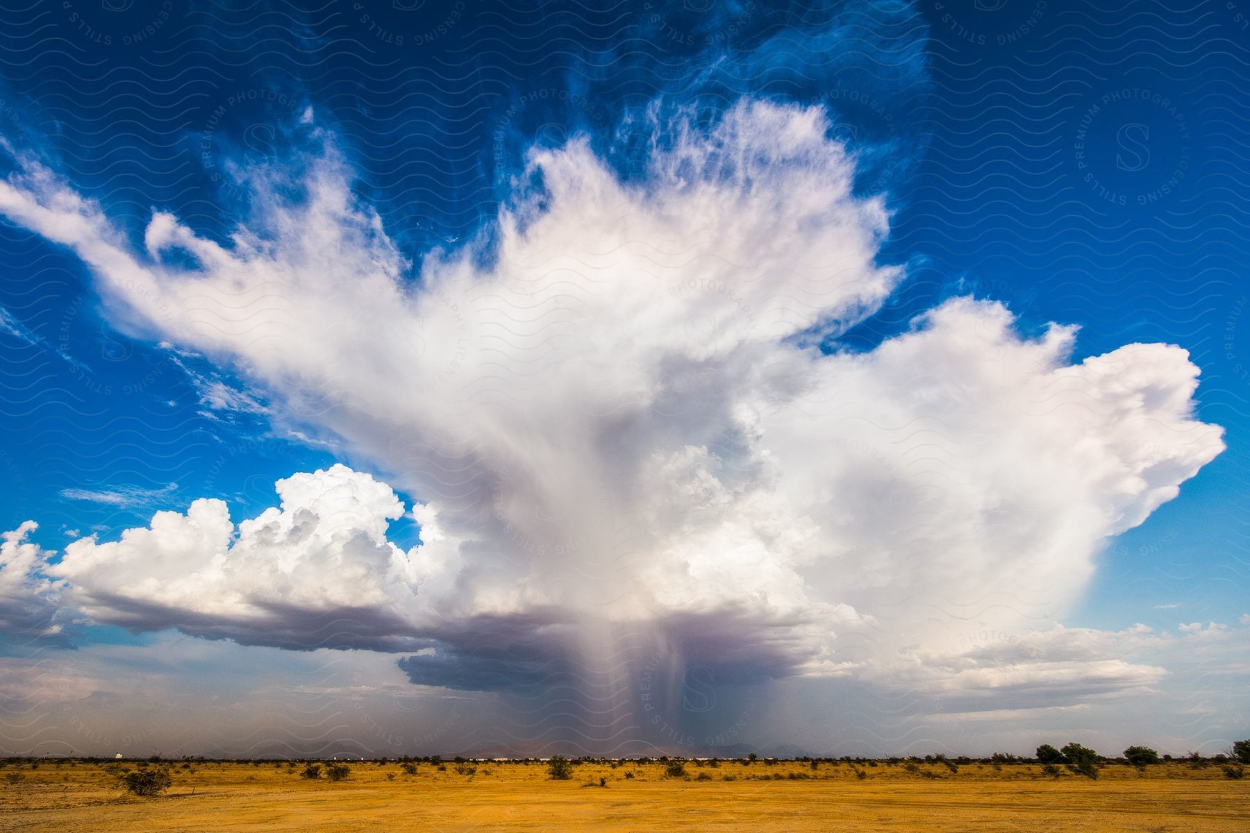 Wingshaped storm clouds tower over an arid landscape against a deep blue sky