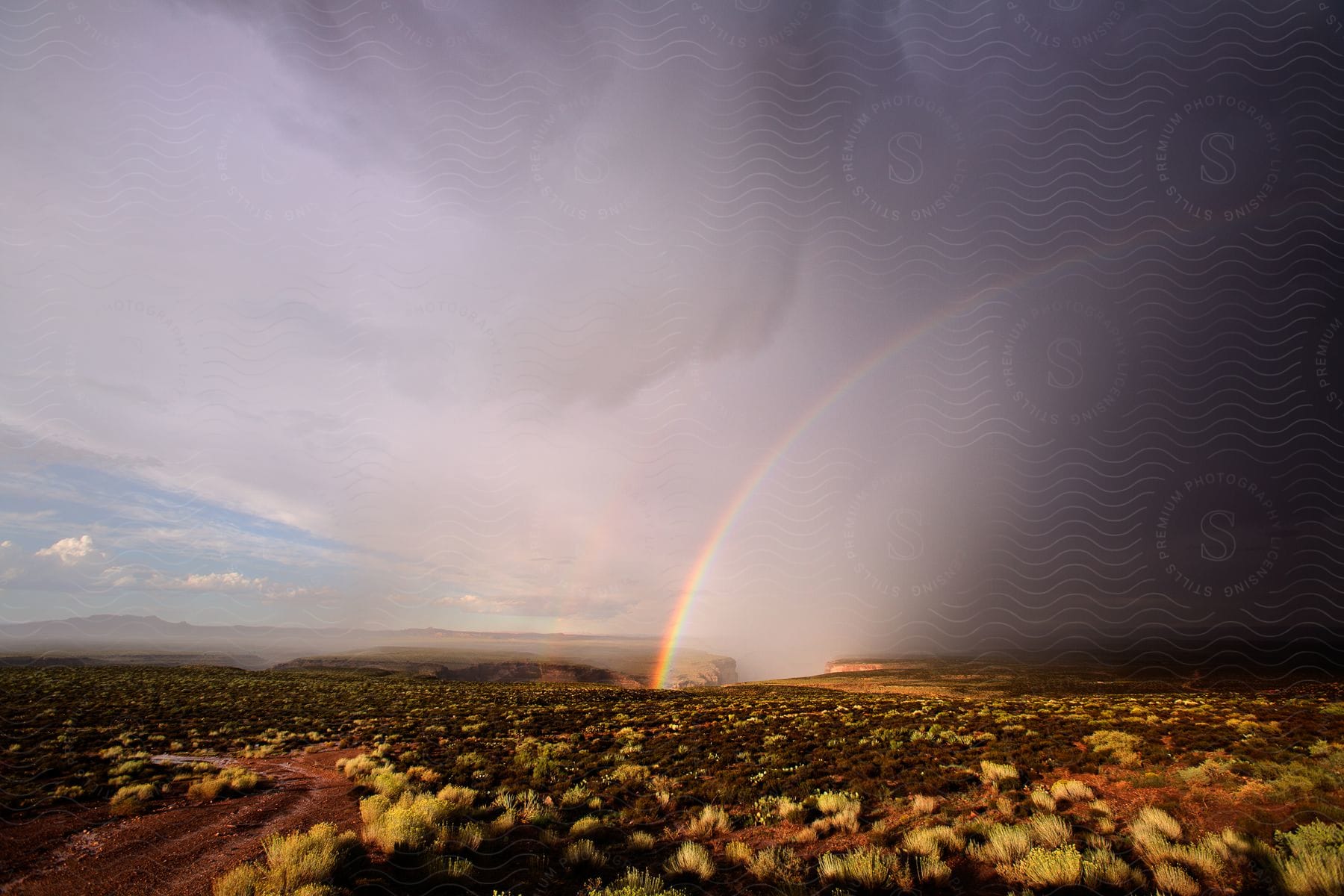 A powerful thunderstorm moves over dead indian canyon leaving behind a stunning rainbow disappearing into the canyon