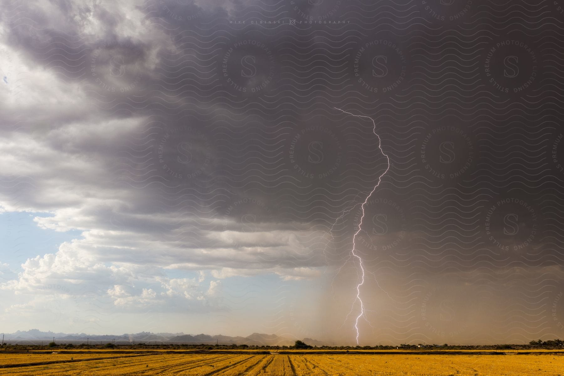 A severe thunderstorm near tacna arizona with a tornadolike cloud formation and bright lightning bolts in a lilac sky