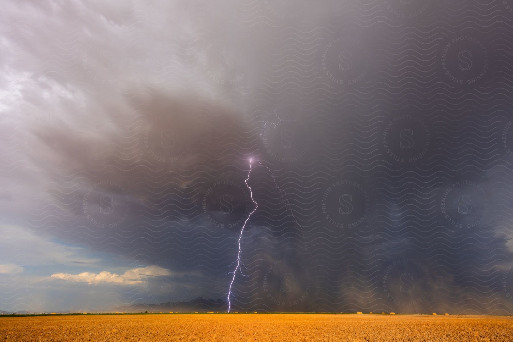 A lightning strike over a yellow field under the rain during the daytime