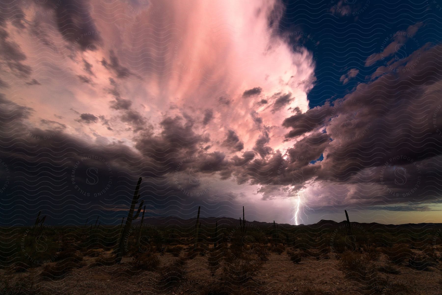 Lightning illuminates the desert landscape at dusk as the sun sets over cacti and strikes the distant terrain