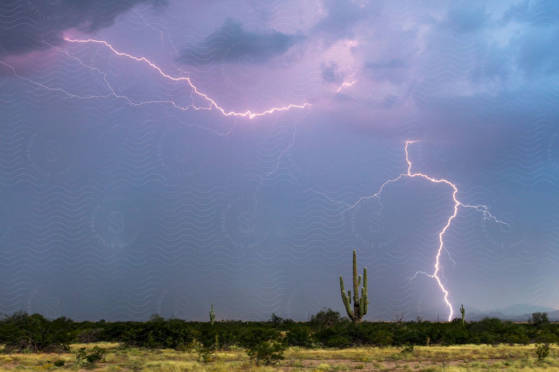 Spring landscape with vegetation under a cloudy sky showcasing thunder in the distance