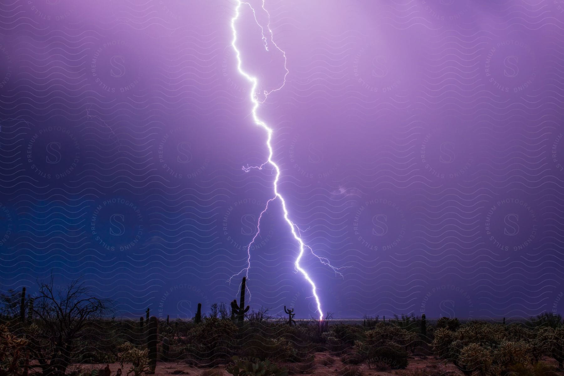 Bright lightning bolt strikes ground and illuminates sky in a desert at night