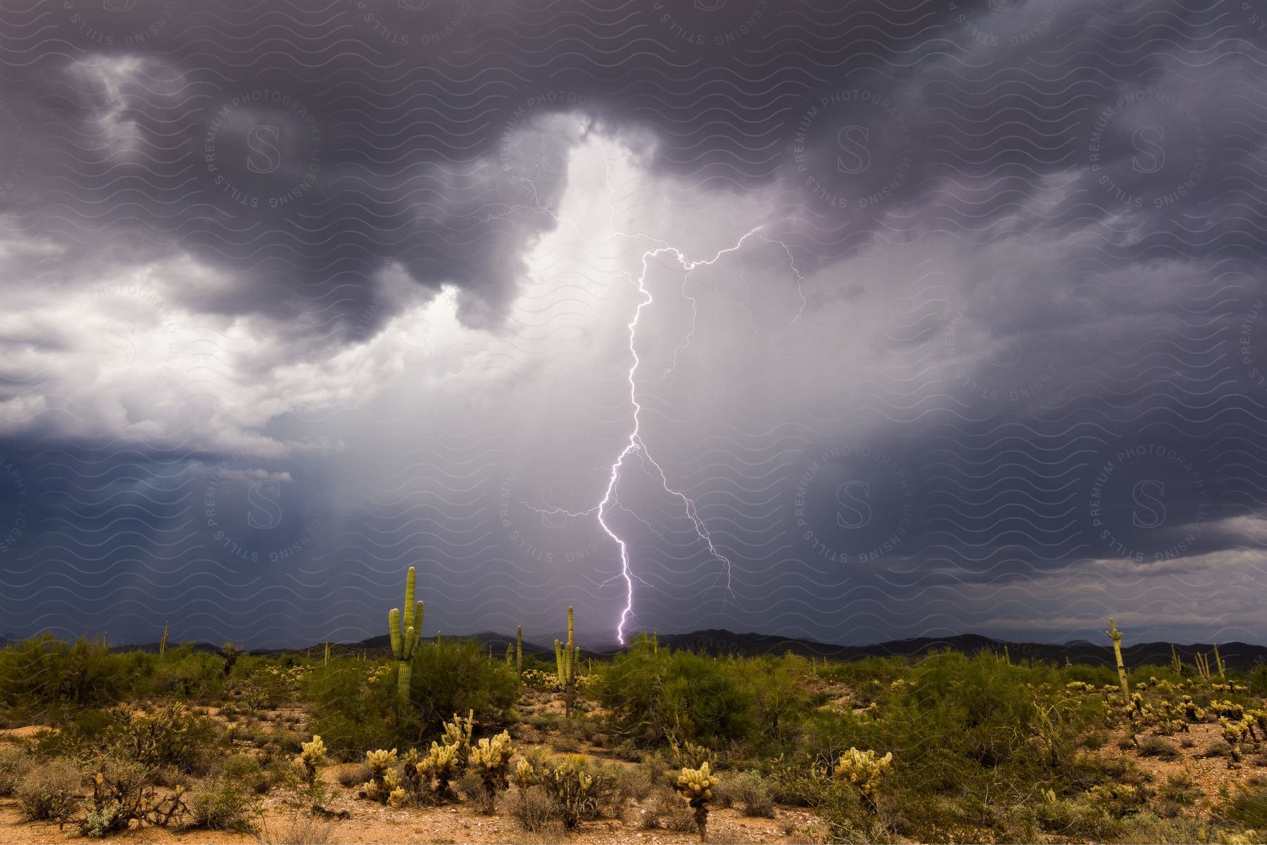 Lightning strikes from a stormy sky over the desert and mountains in the distance