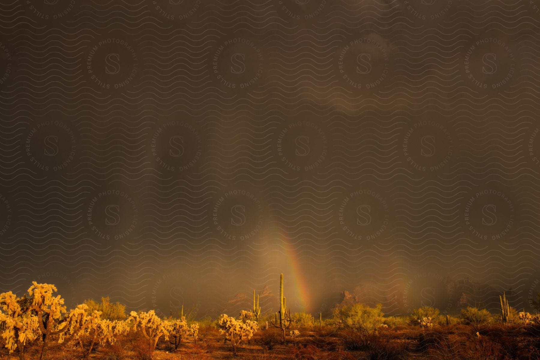 Rain Falls Around A Rainbow In The Desert Lit By The Sun Through A Dark Sky