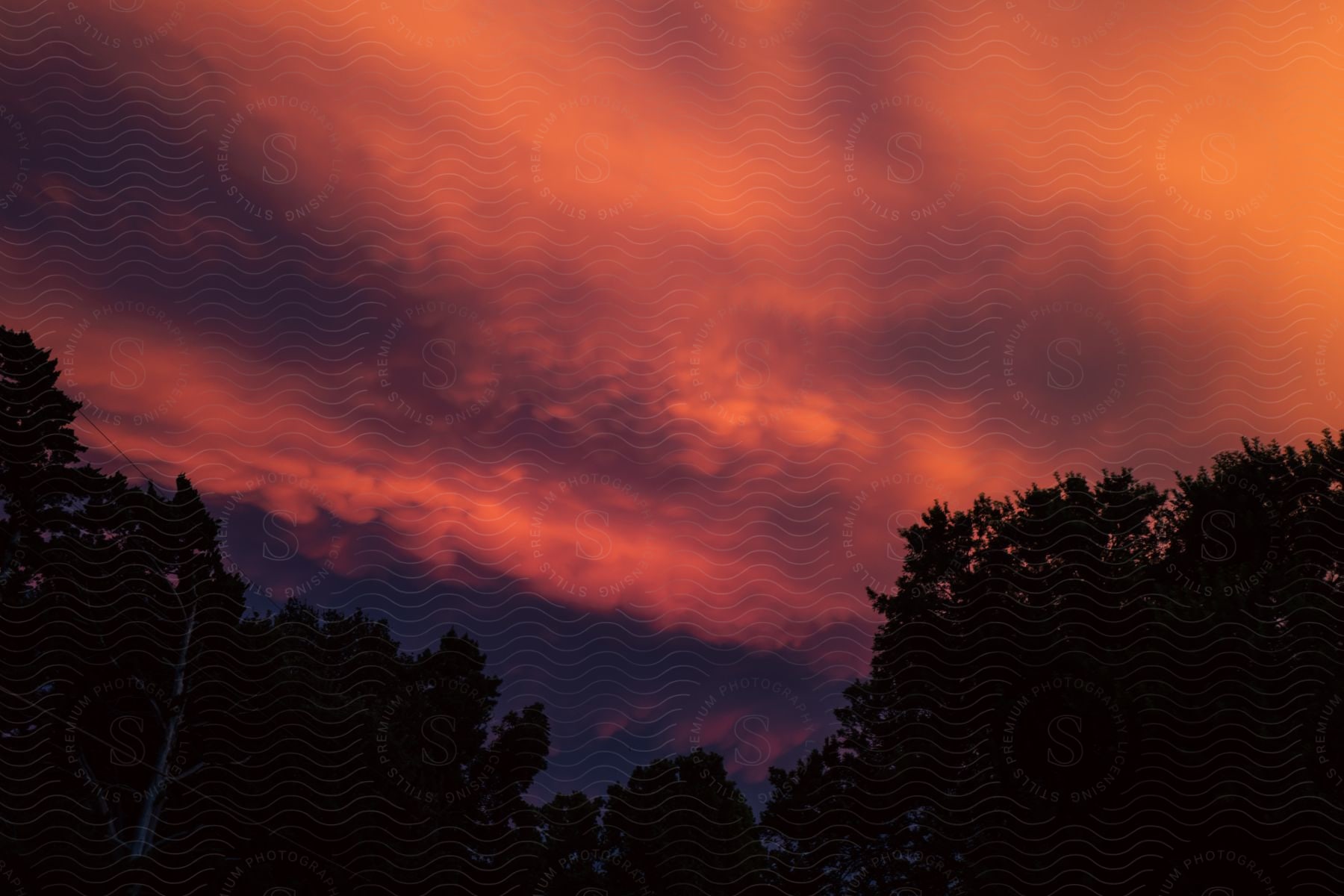 A peaceful natural landscape at dusk with a colorful sky and clouds